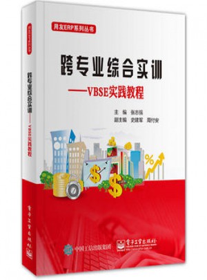 跨專業綜合實訓：VBSE實踐教程