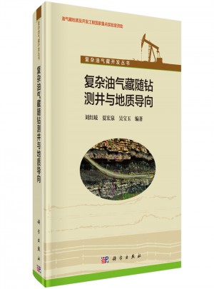 復雜油氣藏隨鉆測井與地質導向