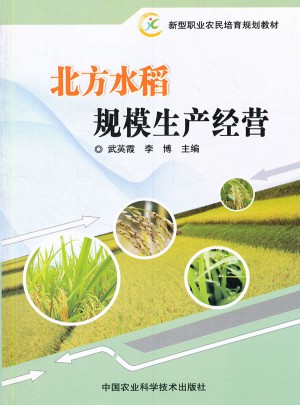 北方水稻規模生產經營