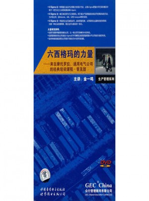 六西格瑪的力量（2DVD）