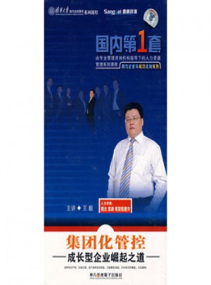 國內第1套：集團化管控·成長型企業崛起之道（4VCD）