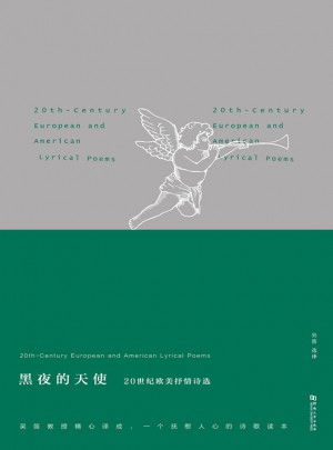 黑夜的天使：20世紀(jì)歐美抒情詩選