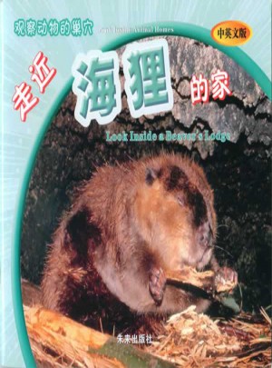 觀察動物的巢穴：走近海貍的家