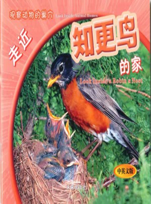 觀察動物的巢穴：走近知更鳥的家
