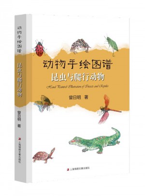 動物手繪圖譜·昆蟲與爬行動物