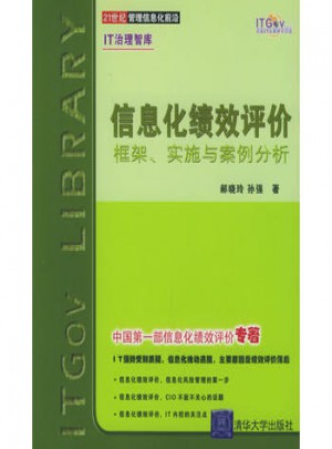 信息化績效評價(jià)：框架、實(shí)施與案例分析