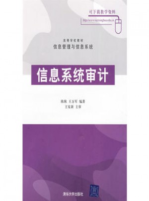 信息系統審計（高等學校教材·信息管理與信息系統）