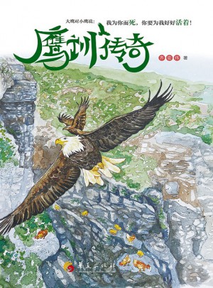 鷹訓傳奇