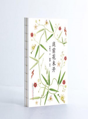 庭前花未開