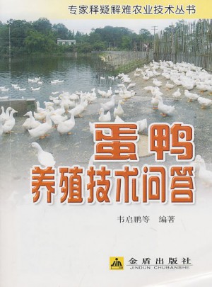 蛋鴨養殖技術問答