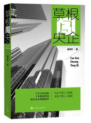 草根闖央企