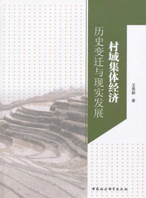 村域集體經濟：歷史變遷與現實發展
