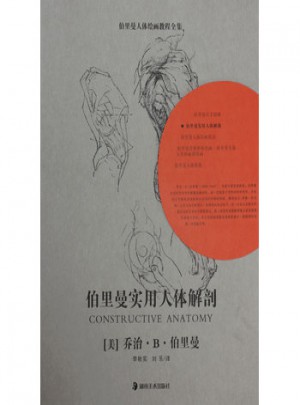 伯里曼人體繪畫教程全集