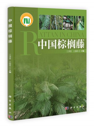 中國棕櫚藤