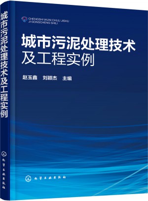 城市污泥處理技術及工程實例