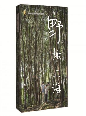 野趣上海
