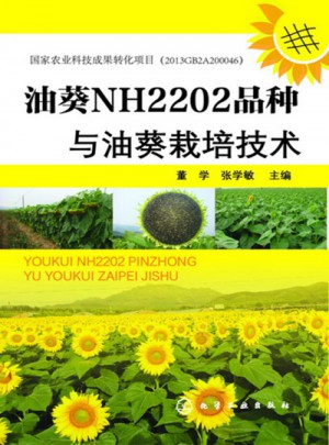 油葵NH2202品種與油葵栽培技術　　　　　　　　