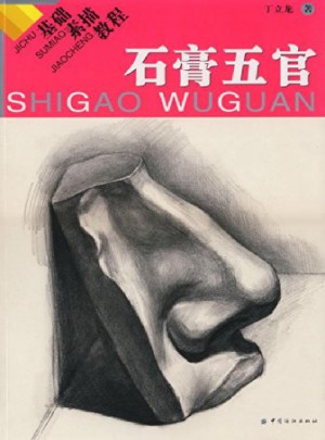 基礎(chǔ)素描教程:石膏五官