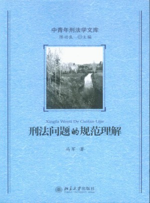 刑法問題的規范理解
