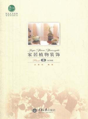 家居植物裝飾