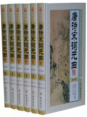唐詩宋詞元曲鑒賞 古詩詞 圖文珍藏版 6冊