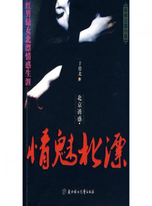 北京誘惑 情魅北漂
