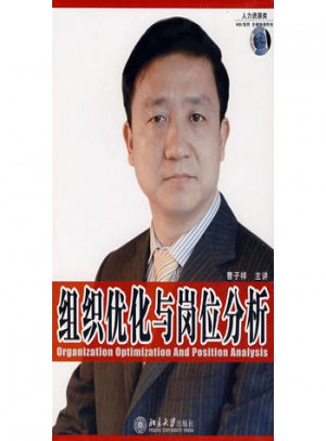 組織優化與崗位分析（軟件）