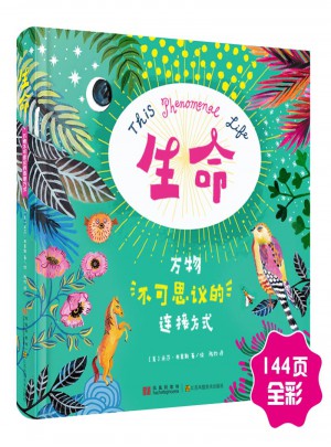 生命 : 萬物不可思議的連接方式