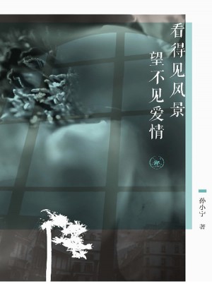 看得見風景 望不見愛情