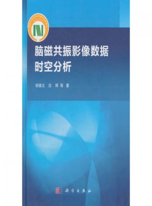 腦磁共振影像數據的時空分析
