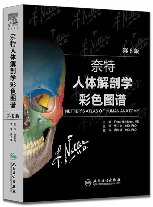 奈特人體解剖學彩色圖譜(翻譯版)