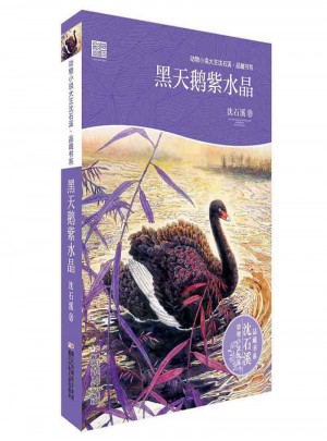 黑天鵝紫水晶