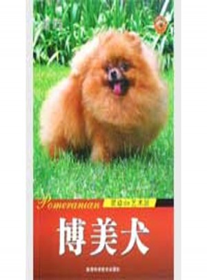 博美犬