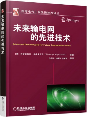 未來輸電網的先進技術