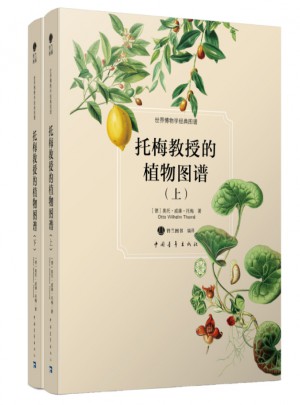 托梅教授的植物圖譜（上下）
