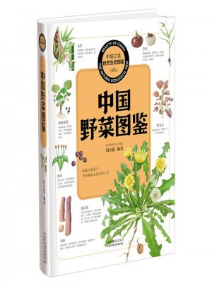 中國野菜圖鑒