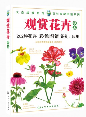 觀賞花卉（草本）