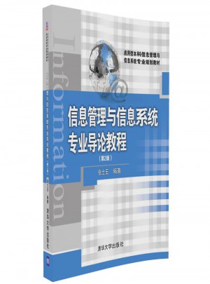 信息管理與信息系統專業導論教程（第2版）