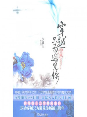穿越只為遇見你全集