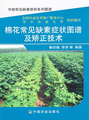 棉花常見缺素癥狀圖譜及矯正技術