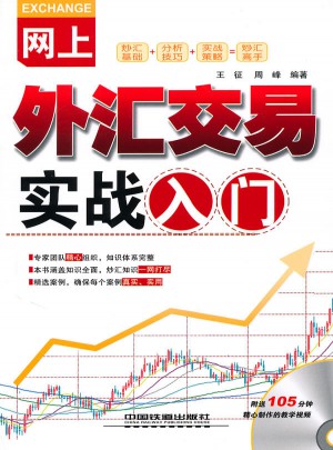 網(wǎng)上外匯交易實(shí)戰(zhàn)入門