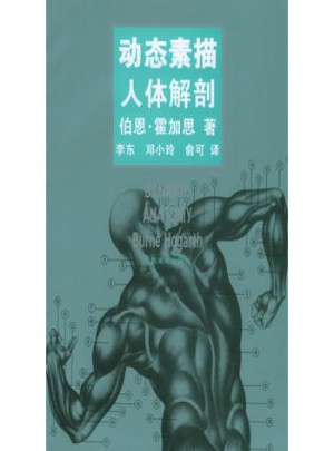 動態素描·人體解剖（中文簡體字版）