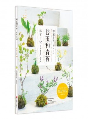 苔玉和青苔