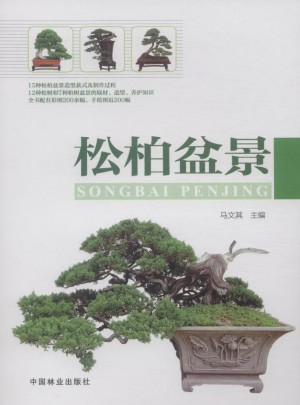 松柏盆景(1-1)
