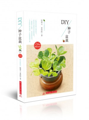 DIY種子盆栽