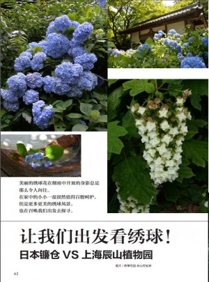 花園MOOK·繡球號