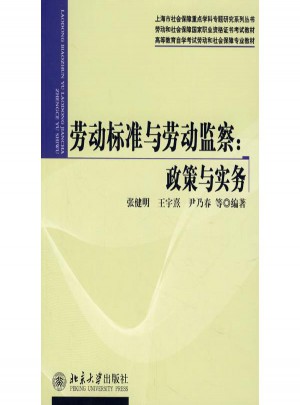 勞動(dòng)標(biāo)準(zhǔn)與勞動(dòng)監(jiān)察:政策與實(shí)務(wù)