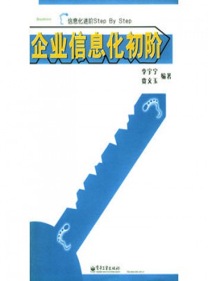 企業信息化初階