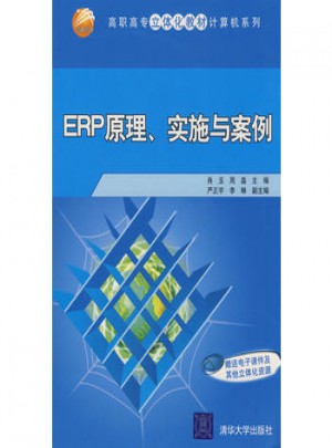ERP原理、實施與案例