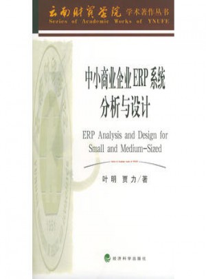 中小商業(yè)企業(yè)ERP系統(tǒng)分析與設(shè)計(jì)